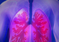 研究人员发现重建 再生肺细胞的新方法