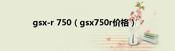 gsx-r 750（gsx750r价格）