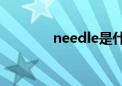 needle是什么意思（need）