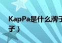 KapPa是什么牌子羽绒服（kappa是什么牌子）