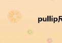 pullip尺寸（pullip）
