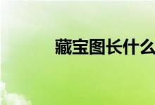 藏宝图长什么样（藏宝图相册）