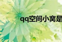 qq空间小窝是啥（qq小窝皮肤）