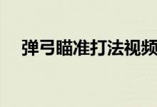 弹弓瞄准打法视频（弹弓瞄准打法教程）