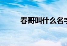 春哥叫什么名字（春哥什么意思）