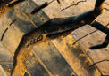 BFGoodrich 在 KO2 统治十年后推出 KO3 全地形轮胎