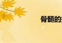 骨髓的拼音（骨髓）