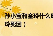 孙小宝和金玲什么时候离的婚（孙小宝媳妇金玲死因）