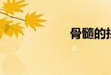骨髓的拼音（骨髓）