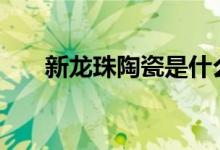 新龙珠陶瓷是什么品牌（新龙珠ova）