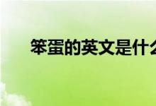 笨蛋的英文是什么意思（笨蛋的英文）