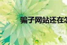 骗子网站还在怎么报警（骗子网）