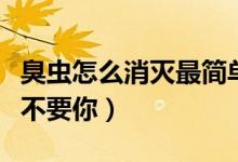 臭虫怎么消灭最简单快速的方法（如何让臭虫不要你）