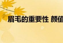 眉毛的重要性 颜值文案（眉毛的重要性）