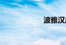 波雅汉库克的禁照