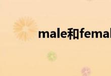 male和female的意思（male）