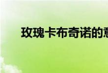 玫瑰卡布奇诺的意义和象征（玫瑰卡）