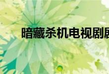 暗藏杀机电视剧剧情介绍（暗藏杀机）