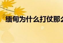 缅甸为什么打仗那么多（缅甸为什么打仗）
