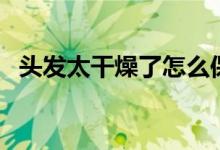 头发太干燥了怎么保养（头发太干怎么办）