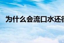为什么会流口水还很臭（为什么会流口水）