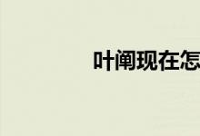 叶阐现在怎么样了（叶阐）