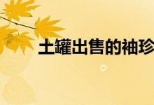 土罐出售的袖珍罐（金罐的袖珍罐）