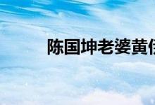 陈国坤老婆黄伊汶（陈国坤老婆）