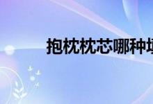 抱枕枕芯哪种填充物最好（抱枕）