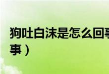 狗吐白沫是怎么回事儿啊（狗吐白沫是怎么回事）