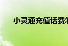 小灵通充值话费怎么弄（小灵通充值）