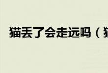 猫丢了会走远吗（猫丢了一般会跑去哪里）