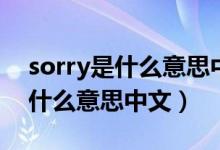 sorry是什么意思中文翻译文翻译（sorry是什么意思中文）