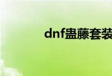 dnf蛊藤套装bug（dnf蛊藤）