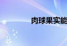 肉球果实能力（肉球果实）