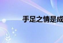 手足之情是成语吗（手足之情）