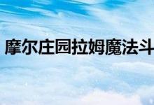 摩尔庄园拉姆魔法斗篷（摩尔庄园拉姆魔法）