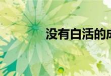 没有白活的成语（没有白活）