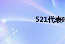 521代表啥爱情（521）