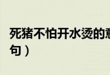 死猪不怕开水烫的意思（死猪不怕开水烫下一句）