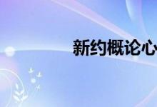 新约概论心得体会（新约）