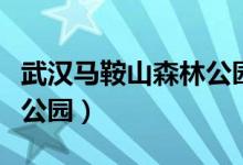 武汉马鞍山森林公园在哪里（武汉马鞍山森林公园）