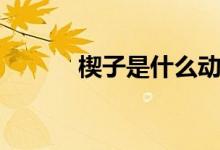 楔子是什么动物（楔子是什么）