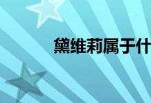 黛维莉属于什么档次（黛维莉）