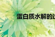 蛋白质水解的过程（蛋白质水解）