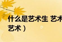 什么是艺术生 艺术生高考都有什么（什么是艺术）