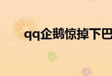qq企鹅惊掉下巴的表情包（qq企鹅）