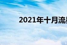 2021年十月流星雨（十月流星雨）