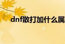 dnf散打加什么属性（dnf散打pk加点）