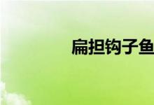 扁担钩子鱼图片（扁担钩）
